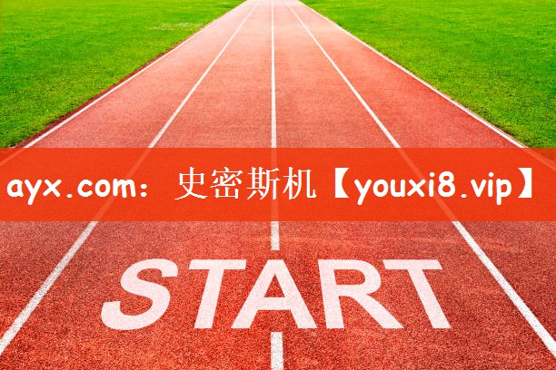 ayx.com：史密斯机