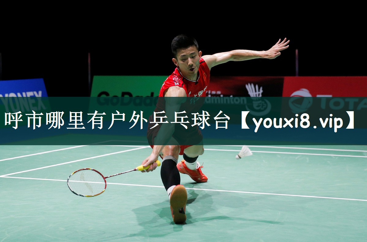呼市哪里有户外乒乓球台