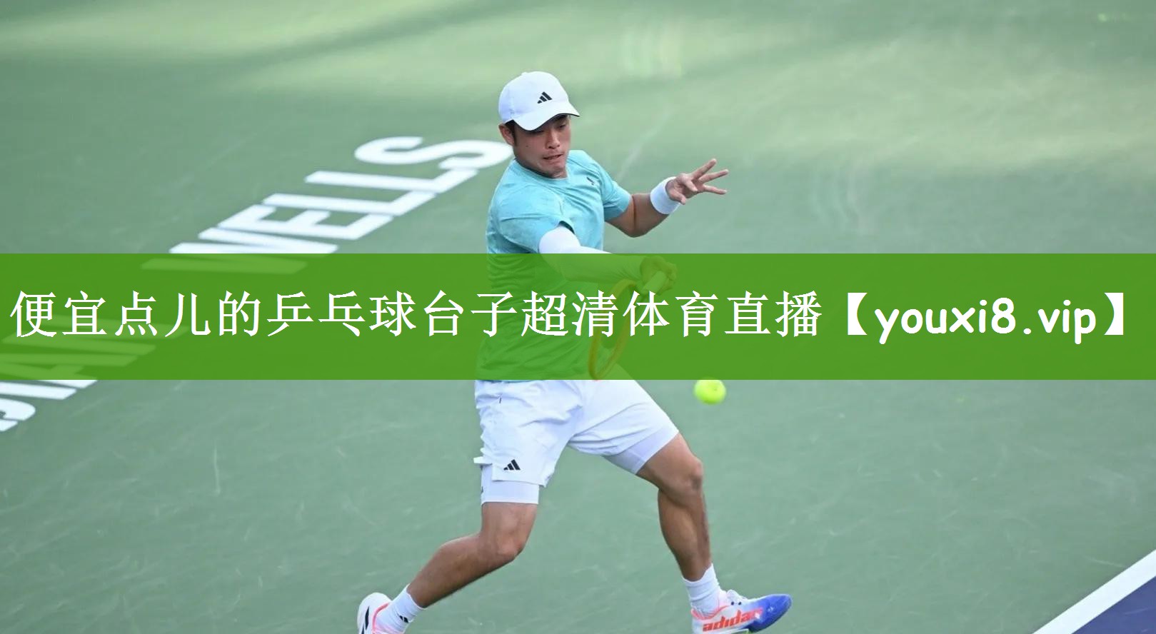 便宜点儿的乒乓球台子超清体育直播