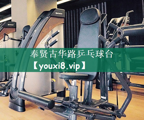 奉贤古华路乒乓球台