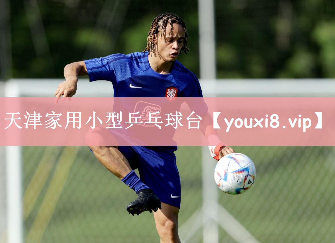 天津家用小型乒乓球台