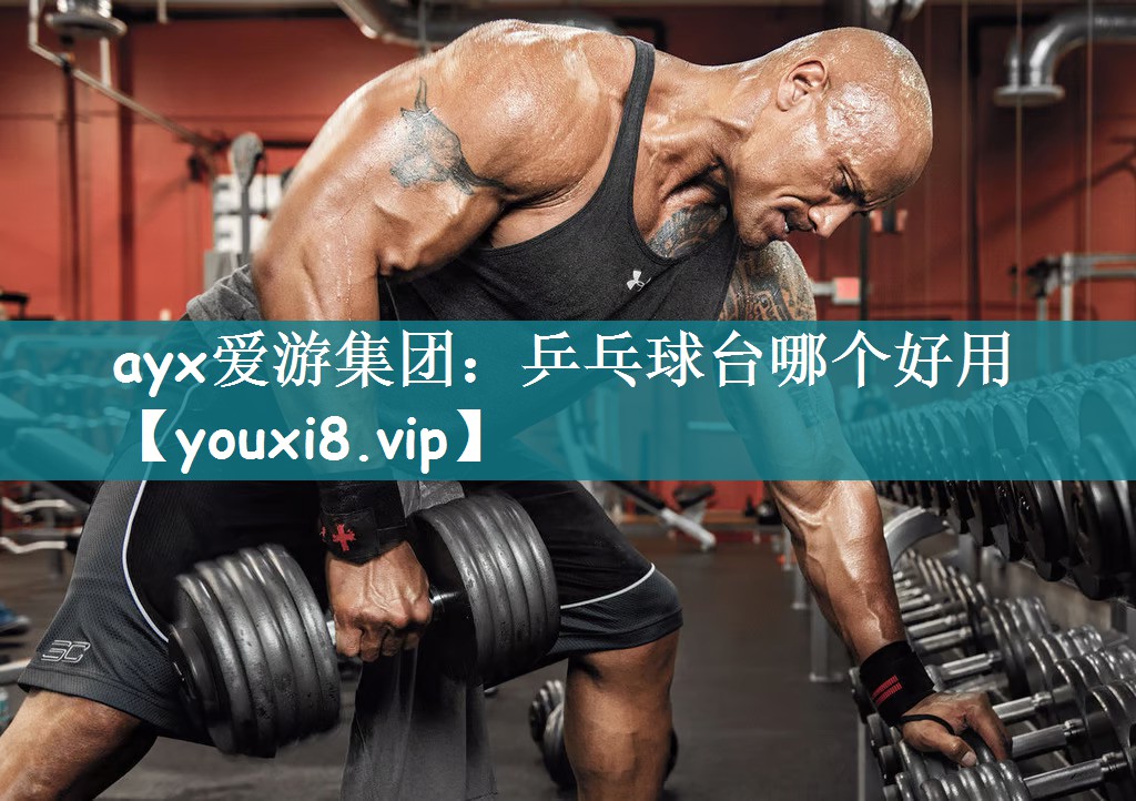 乒乓球台哪个好用