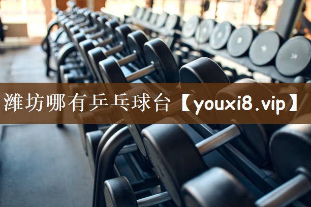 潍坊哪有乒乓球台